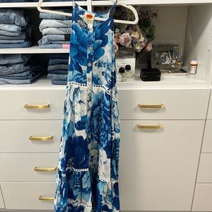 Farm Rio Blue Floral Maxi Dress XS
